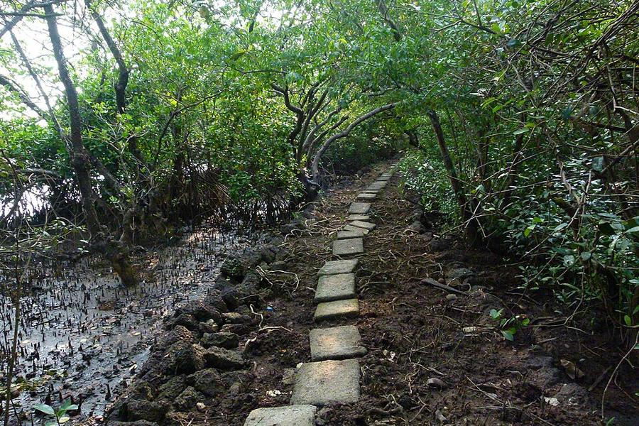 Salim Ali Bird Sanctuary